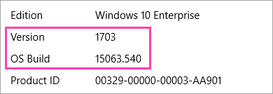 Cuplikan layar memperlihatkan nomor versi dan membangun Windows
