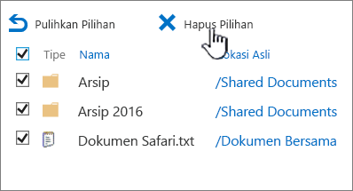 Keranjang sampah tingkat 2 SharePoint 2016 dengan semua item dipilih dan dihapus disorot