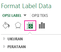 Ikon dan panel Format Ukuran & Properti Label Data