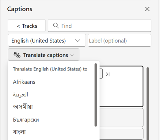 Elenco a discesa Traduci didascalie nel riquadro Didascalie.