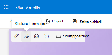 Screenshot dell'icona Sfoglia immagini nella barra degli strumenti.