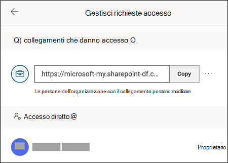 Il menu Gestisci accesso, che consente di modificare le opzioni e vedere con chi è condiviso il file.