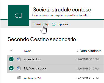 Cestino di secondo livello di SharePoint Online con pulsante Elimina evidenziato