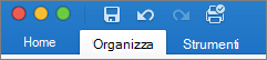 scheda Organizza