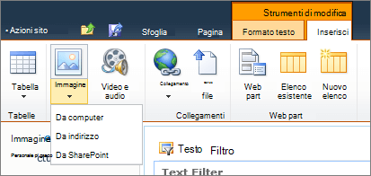 Fare clic sul pulsante immagine sulla barra multifunzione e selezionare da computer, indirizzo o SharePoint.