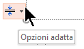 Lo strumento Opzioni adatta viene visualizzato quando un segnaposto è riempito di testo