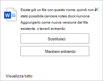 È possibile sostituire o mantenere entrambe le copie del file che si sta caricando.