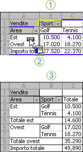 Esempio di modifica del layout di un rapporto di tabella pivot