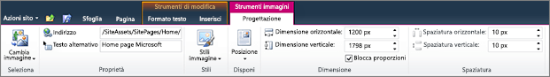 La scheda strumenti immagine consente di impostare le dimensioni, lo stile, la posizione e il testo alternativo nelle immagini.