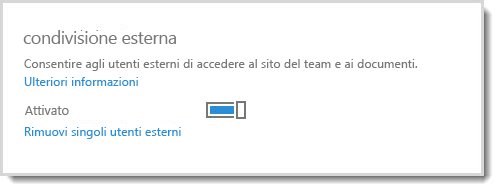 Immagine che mostra il controllo di attivazione/disattivazione per consentire l'accesso agli utenti esterni al sito del team e ai documenti.