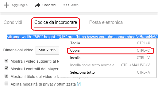 Copiare il codice di incorporamento iFrame