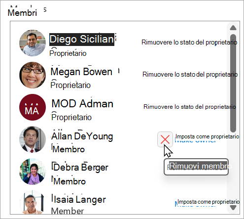 Nella casella Membri è possibile rimuovere lo stato di proprietario, impostare un membro come proprietario o eliminare un membro.