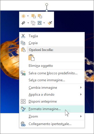 Screenshot delle opzioni Formato immagine in Publisher.