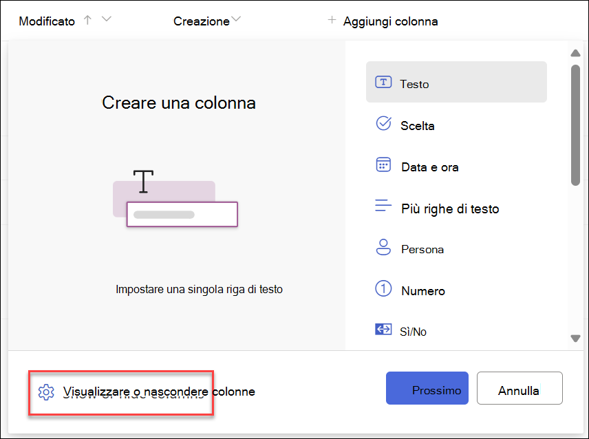 Screenshot dell'opzione Mostra nascondi colonne selezionata