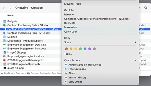 Mostra una schermata OneDrive con un menu aperto. 