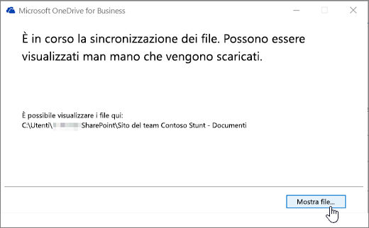Finestra di dialogo di sincronizzazione di OneDrive for Business con il pulsante Mostra file evidenziato.