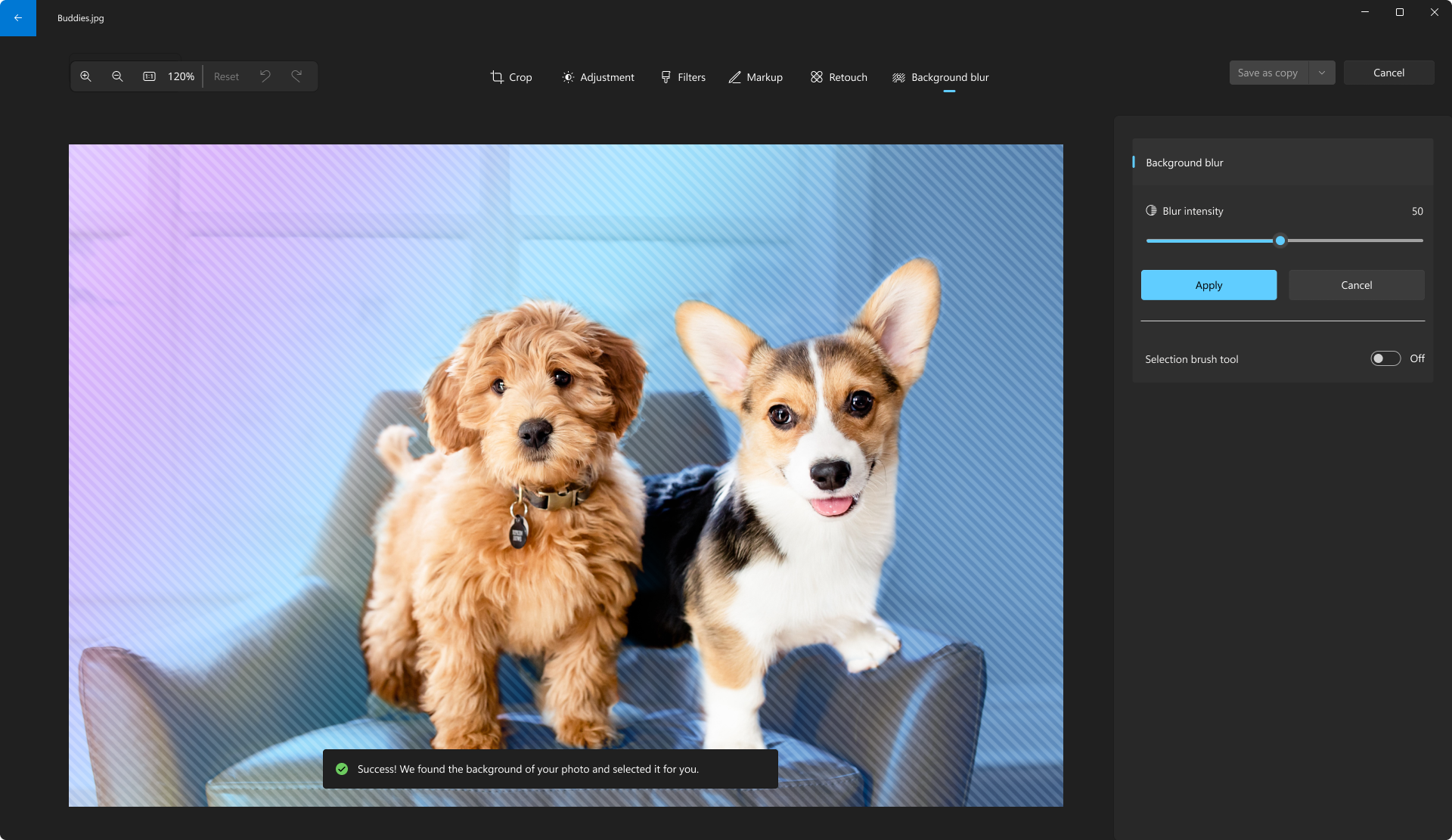 写真アプリの椅子に立っている2匹の犬の写真。 [背景ぼかし] オプションが選択され、犬の背後でぼかしが適用される領域がストライトされます。