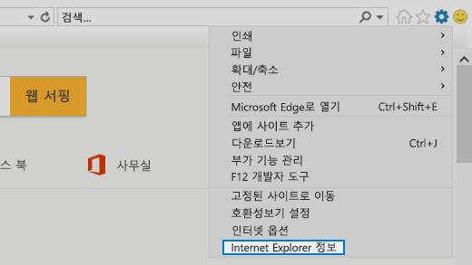 Internet Explorer 정보