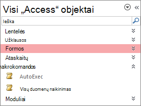 "Access" naršymo sritis