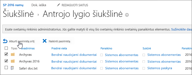 "SharePoint" 2-o lygio perdirbimas su pažymėtu atkūrimo mygtuku