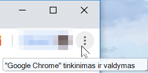 "Google Chrome" žiniatinklio naršyklės ypatybių vaizdas