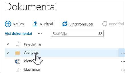 "SharePoint 2016" dokumentų biblioteka su paryškintu aplanku