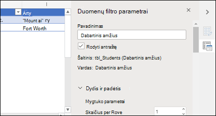Duomenų filtro Parametrai sritis