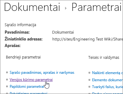 Bibliotekos parametrų dialogo langas su pasirinktu versijų kūrimu.