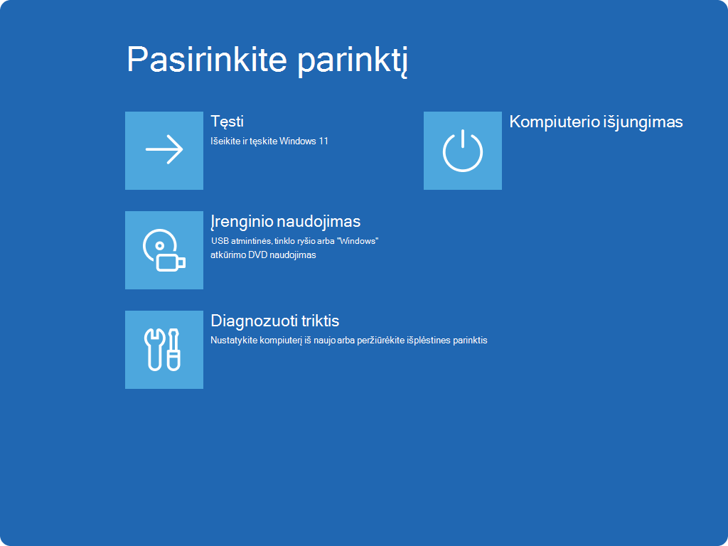 Ekrano nuotrauka, kurioje rodomas ekranas Pasirinkti parinktį programoje "„Windows RE“".