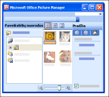 Programa „Picture Manager“ atsidaro ir parodo tris sritis.