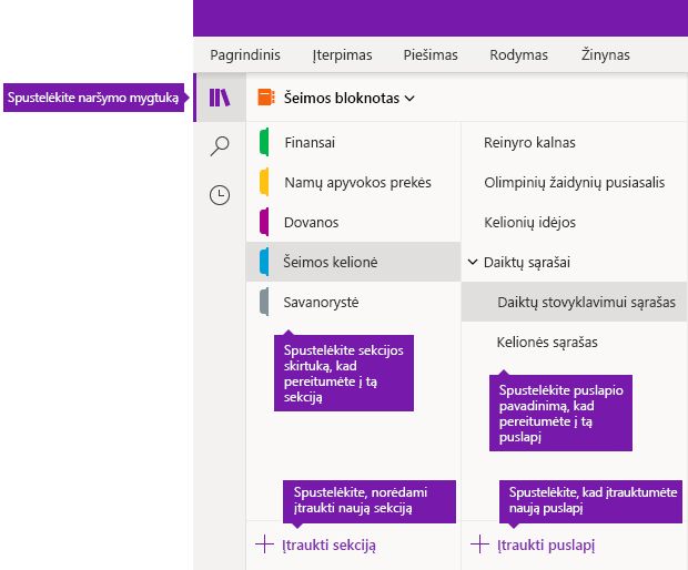Sekcijos ir puslapiai „OneNote“, skirtoje „Windows 10“