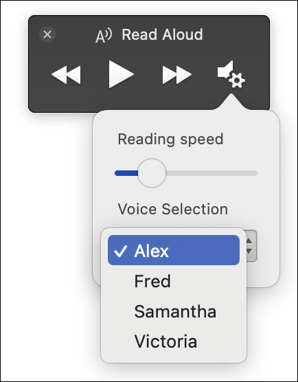 Keturios balso pasirinkimo parinktys, rodomos Įtraukianti skaitytuvė funkcijai Skaityti garsiai