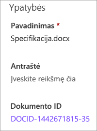 Dokumento ID, rodomas išsamios informacijos srityje