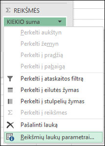 „Excel“ reikšmių lauko parametrų dialogo langas