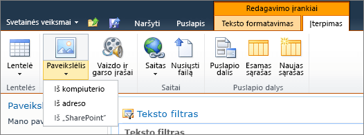 Juostelėje spustelėkite mygtuką paveikslėlis ir pasirinkite iš kompiuterio, adreso arba "SharePoint".