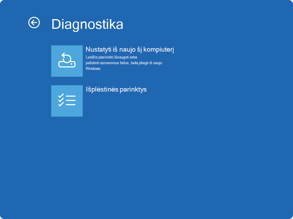 Ekrano „Windows RE“ – trikčių diagnostika ekrano kopija.