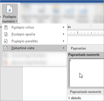 Ekrano kopija, kurioje rodomas dabartinės dokumento padėties paprasto formato puslapio numerio pasirinkimas