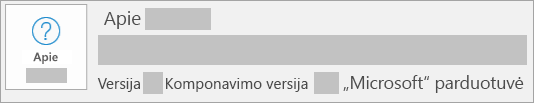 Ekrano kopija, kurioje rodoma, kad versija ir komponavimo versija yra „Microsoft Store“ įdiegtis