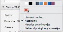 After animations options in Animations property pane