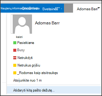 „Outlook Web App“ meniu Atidaryti kitą pašto dėžutę