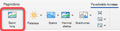 Parinktis Šalinti paveikslėlį yra "Office" programų skirtuke Paveikslėlio formatas.