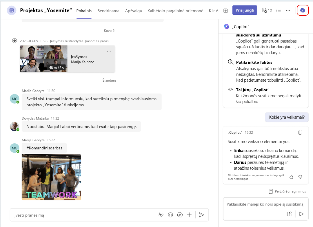 „copilot“ įrašas iš susitikimo pokalbio