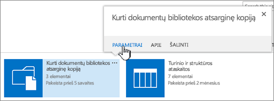 Parametrai mygtukas dialogo lange