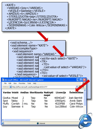 Bazinė XML failo struktūra su schema ir transformacija