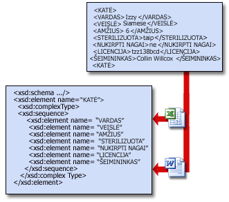 Schemos leidžia programoms bendrai naudoti XML duomenis.