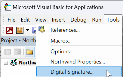 "Microsoft Visual Basic for Applications" langas su išplečiamajame meniu pasirinkta skaitmeninio parašo parinktimi.