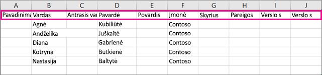 Štai kaip pavyzdinis .csv failas atrodo programoje „Excel“.