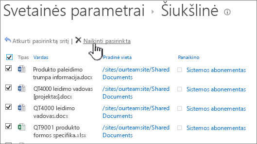 "SharePoint 2013" 2-o lygio perdirbimas su visais pažymėtais elementais ir pažymėtu naikinimo mygtuku