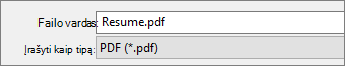 Pasirinkite PDF lauke Įrašomo failo tipas.
