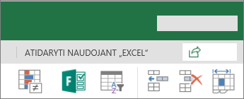 Mygtukas Redaguoti naudojant „Excel“